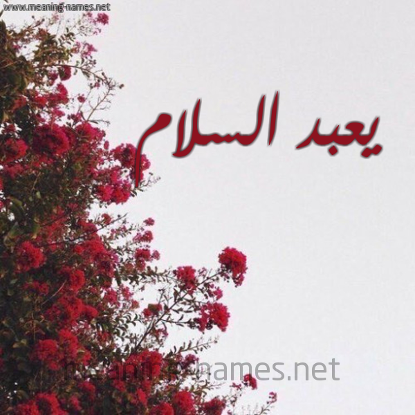 شكل 18 صوره الورد الأحمر للإسم بخط رقعة صورة اسم يعبد السلام Abdulsalam